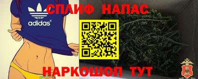 прущие крисы Моздок