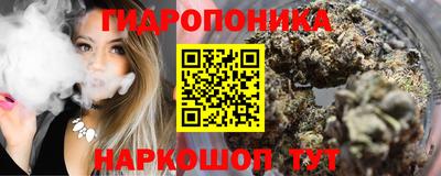 прущие крисы Моздок