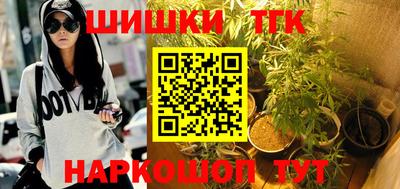 тгк Можга