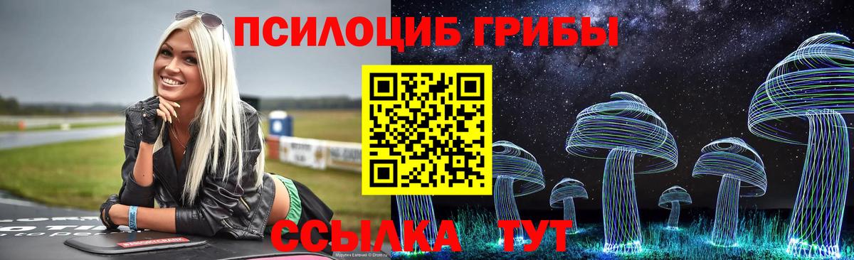 Псилоцибиновые грибы Psilocybe  Галлюциногенные грибы Magic Shrooms  Вход с VPN  Серов 